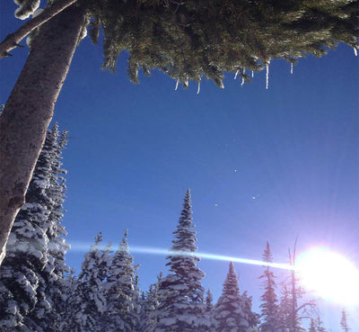 11 Ideas To Lighten Up Your Winter